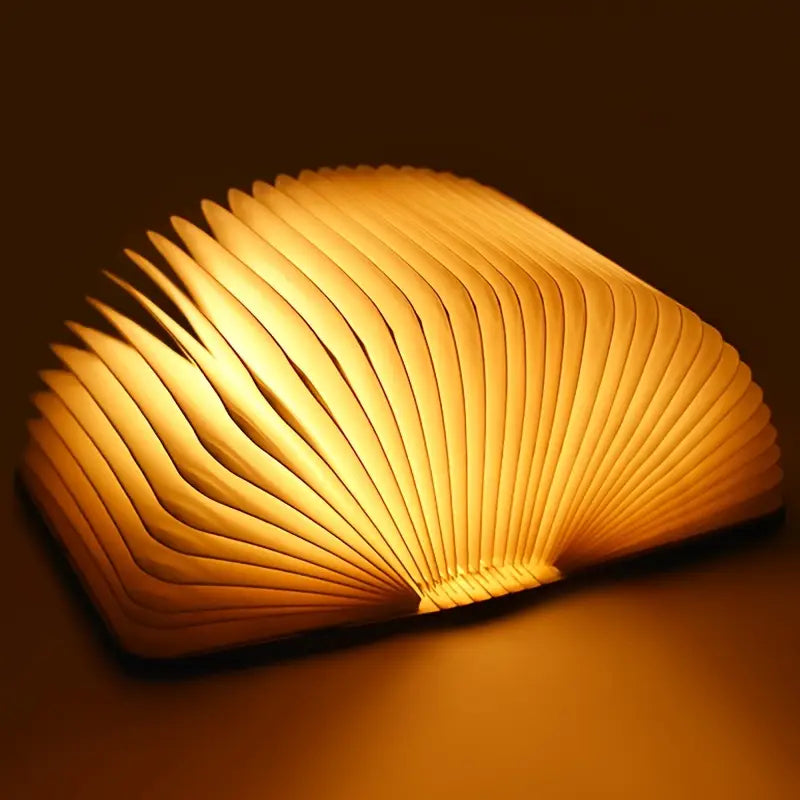 LED Rechargeable Wooden Book Lamp